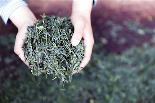从茶园到茶杯，星巴克如何改写茶叶的“第三空间”叙事？